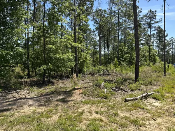 Pace, FL 32571,17 Steele Meadow Drive