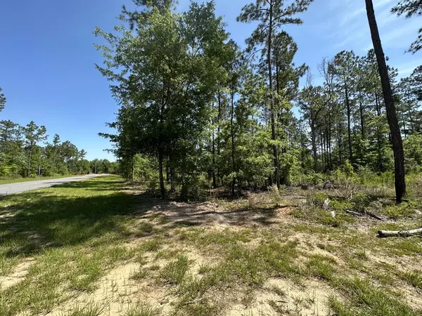 Pace, FL 32571,17 Steele Meadow Drive