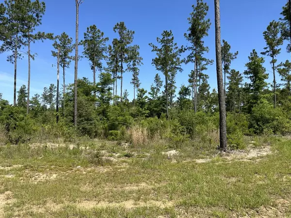 Pace, FL 32571,16 Steele Meadow Drive