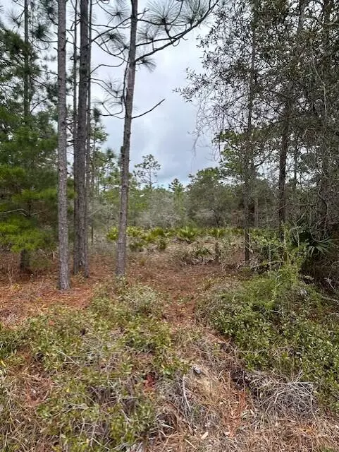 Navarre, FL 32566,TBD Elbing Street