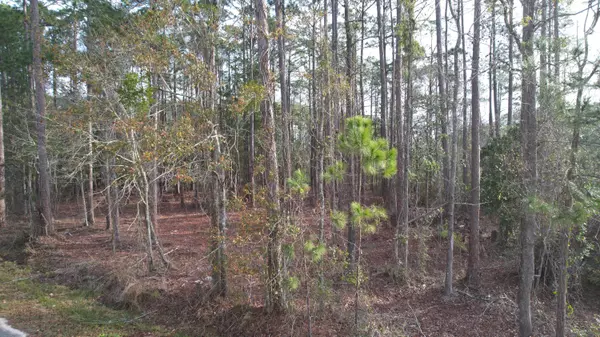 Milton, FL 32583,4533 Bayside Drive