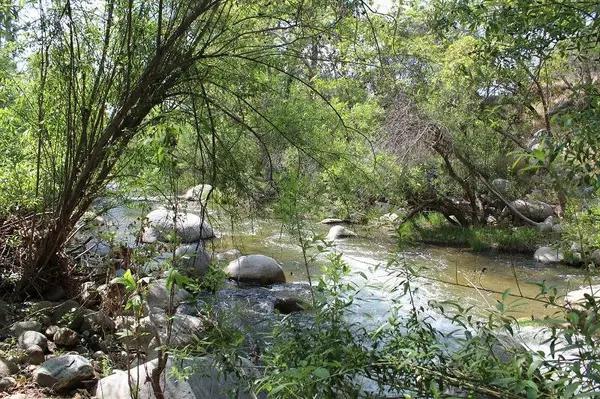 Springville, CA 93265,37654 Rio Vista Road