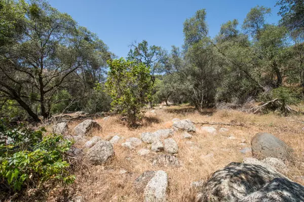 Three Rivers, CA 93271,South Fork Drive