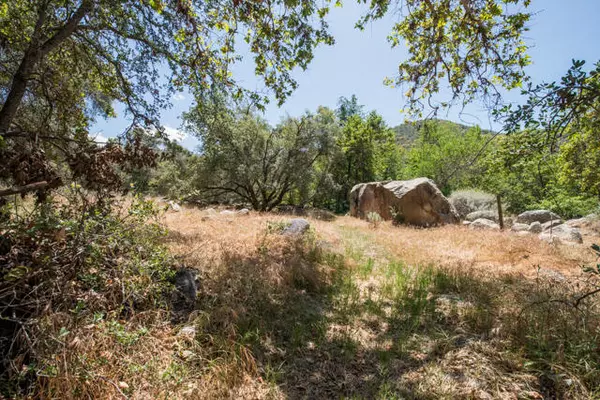 Three Rivers, CA 93271,South Fork Drive