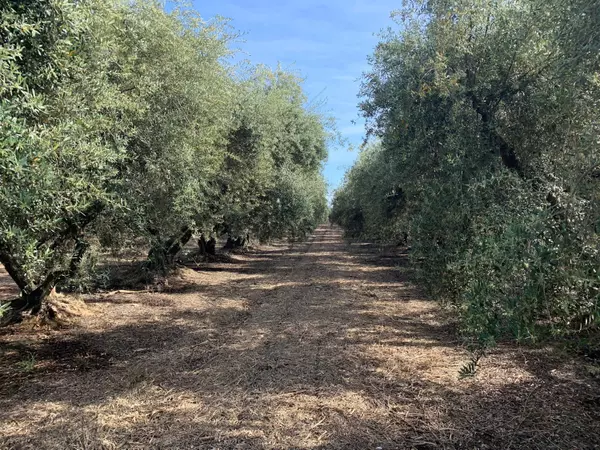 Visalia, CA 93292,14313 Avenue 364