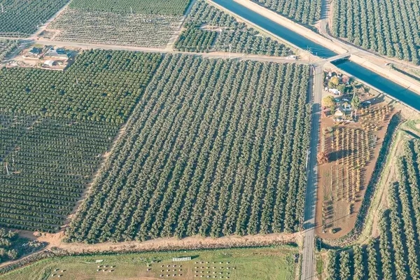 Orosi, CA 93647,Road 144