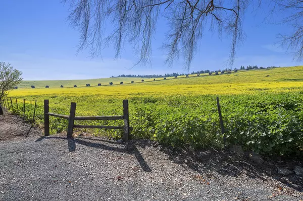 Exeter, CA 93221,Valley View Drive