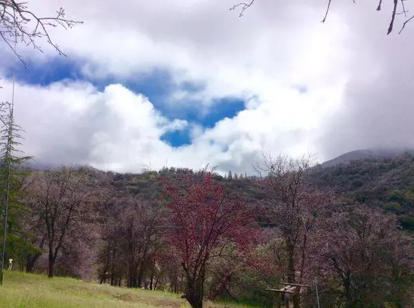 California Hot Springs, CA 93207,Lot 10 Capanero Oaks Court