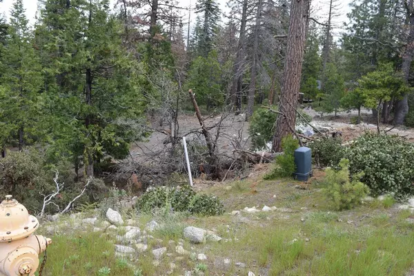 Shaver Lake, CA 93664,0 Fawn Lilly Lane