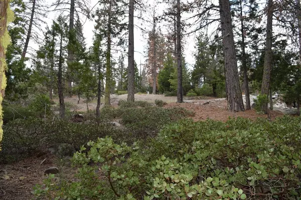 Shaver Lake, CA 93664,0 Fawn Lilly Lane