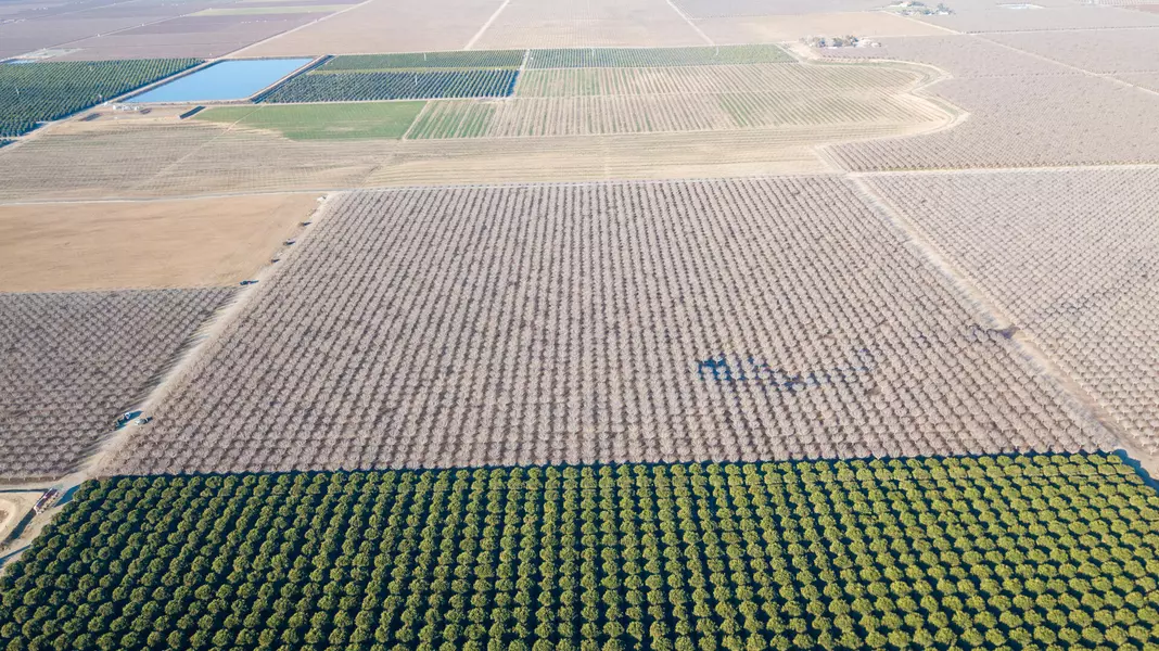 Bassett Avenue, Delano, CA 93215