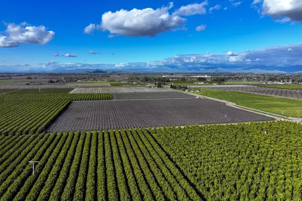 Exeter, CA 93221,Visalia Road