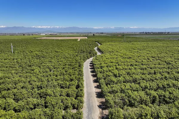 Terra Bella, CA 93270,21865 Avenue 92