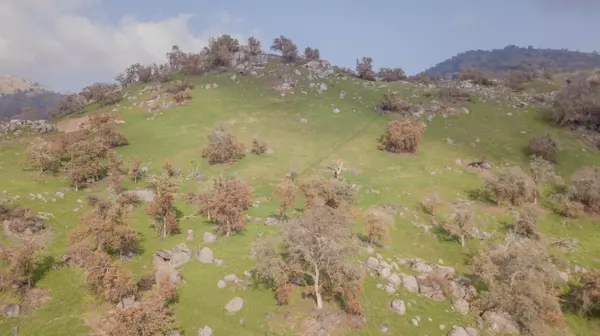 Yokuts Valley, CA 93675,0 Pepperweed