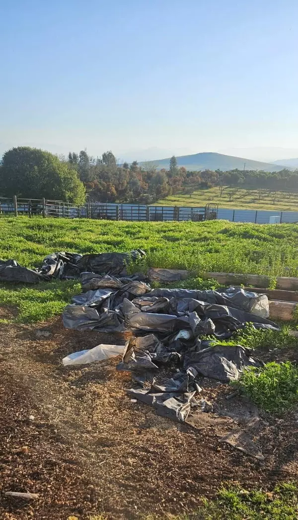 Terra Bella, CA 93270,Ave 92