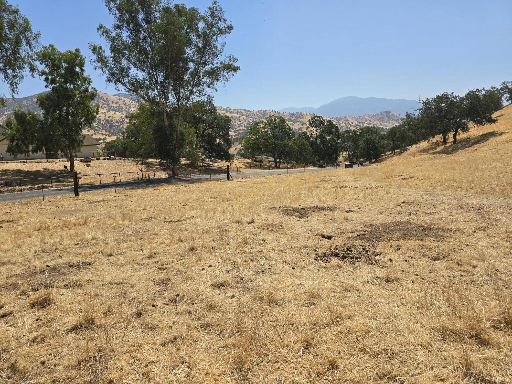 Springville, CA 93265,0 Meadowlark Lane #C
