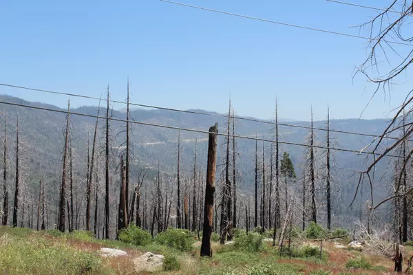 Springville, CA 93265,52954 Alpine Drive