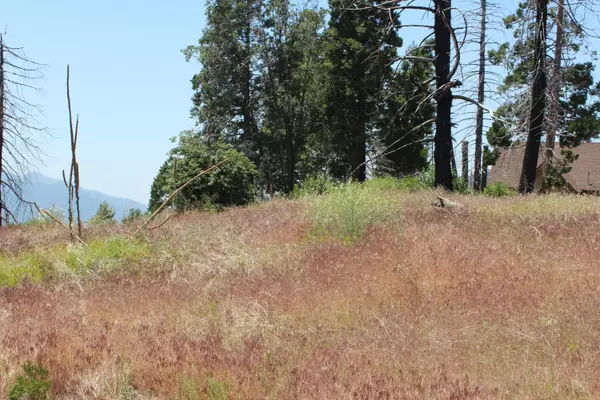 Springville, CA 93265,52954 Alpine Drive