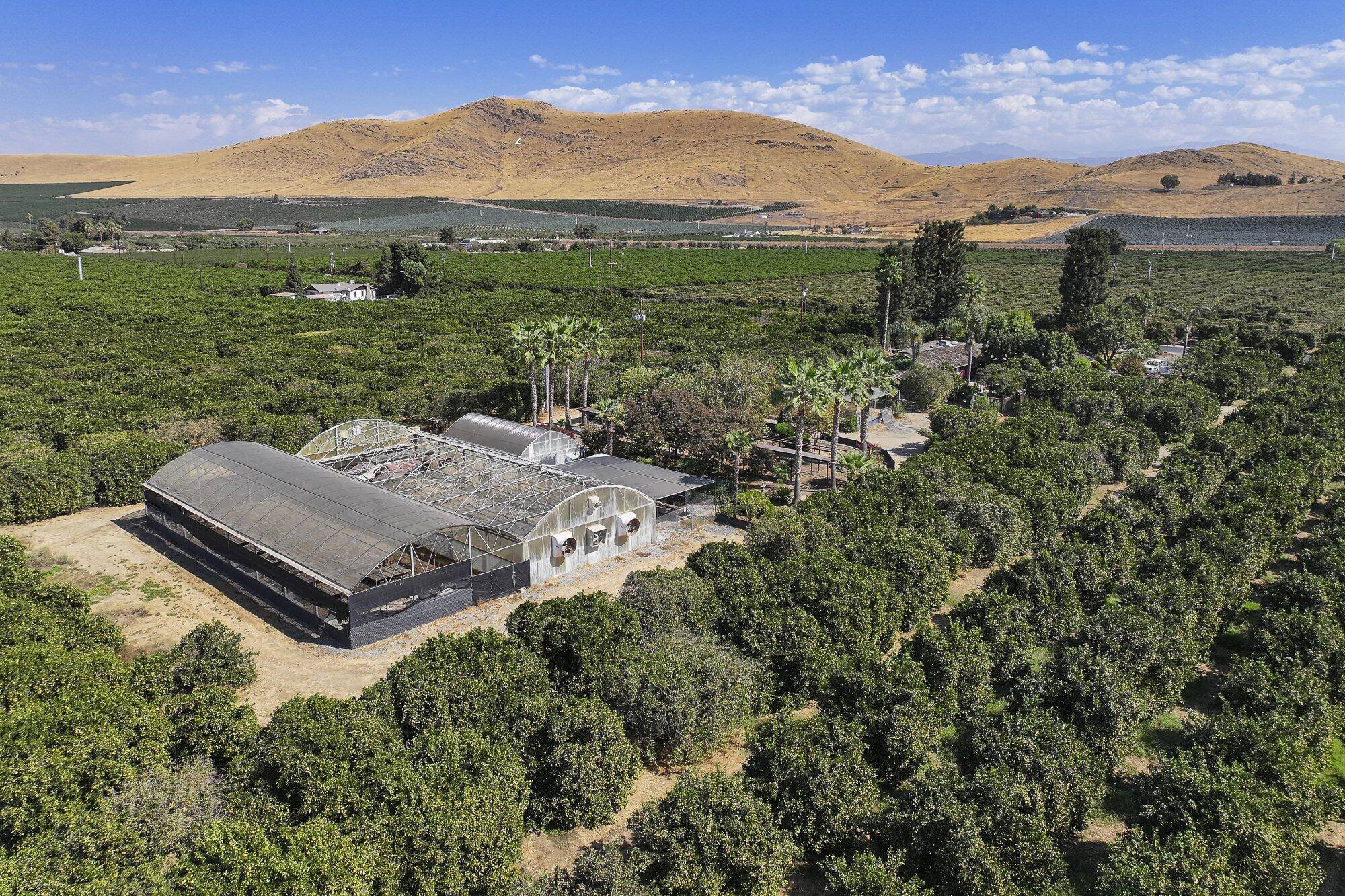 Lindsay, CA 93247,267 N Strathmore Avenue