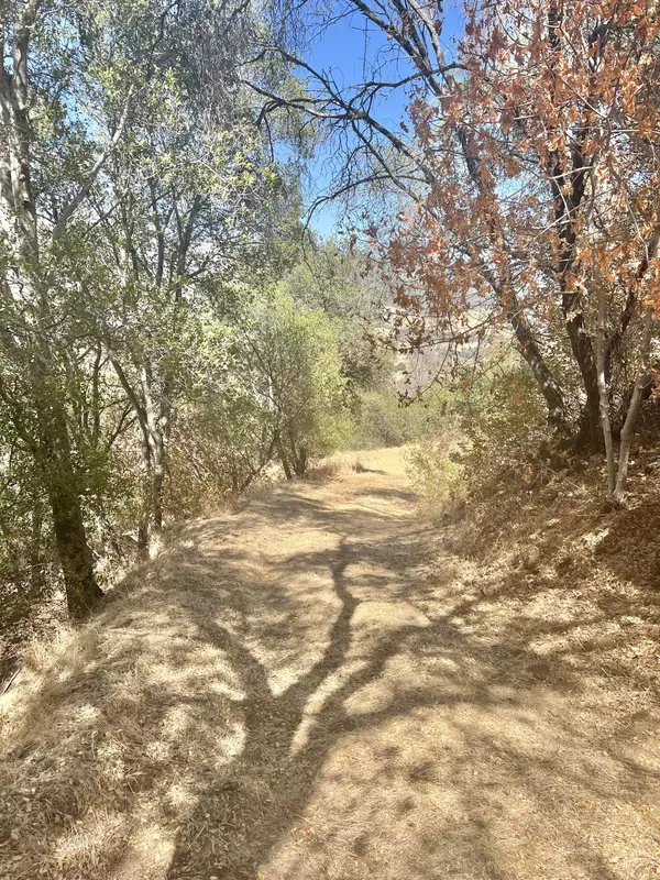 Tollhouse, CA 93667,29012 Cassandra Road