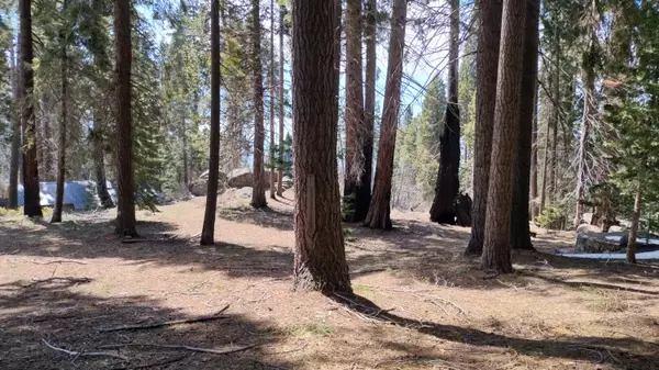 Sequoia Crest, CA 93265,54534 Manzanita Drive