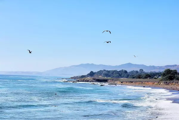 Cambria, CA 93428,2845 Main Street