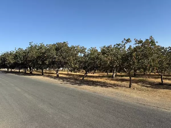 Terra Bella, CA 93270