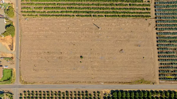 0 Ave 208 Avenue, Strathmore, CA 93267