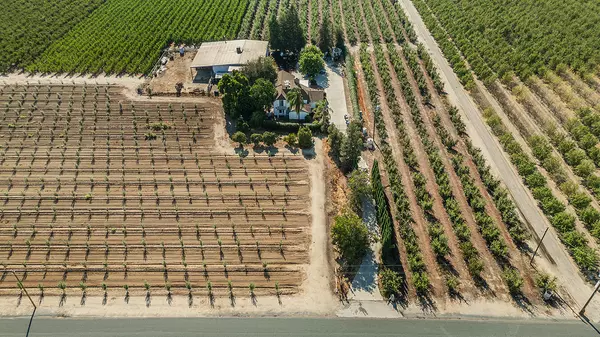 Reedley, CA 93654,41179 Rd 52