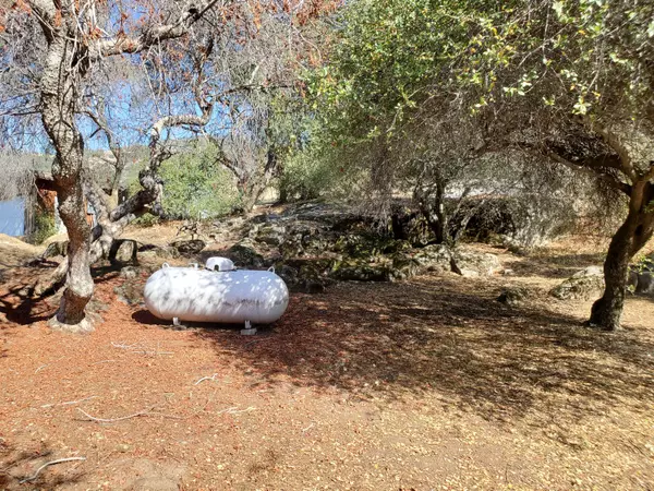 Springville, CA 93265,42555 Bear Creek Road