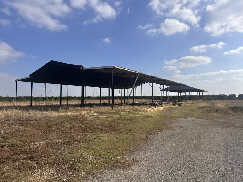 Rd 216/Ave 92, Terra Bella, CA 93270