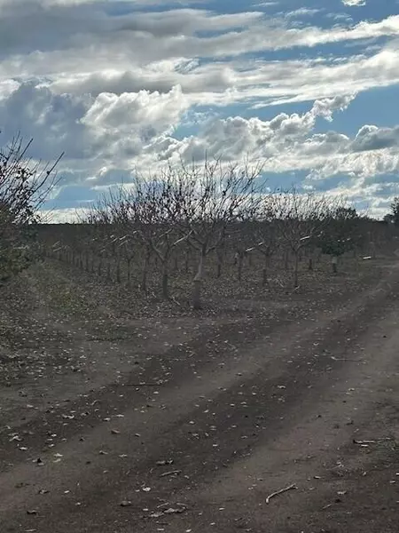 Ave 100, Terra Bella, CA 93270