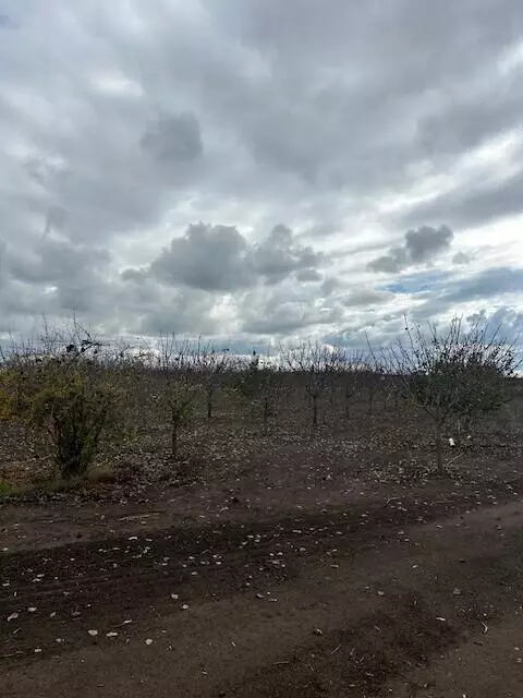 Terra Bella, CA 93270,Ave 100