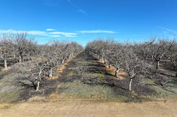 Madera, CA 93638,Ave 20