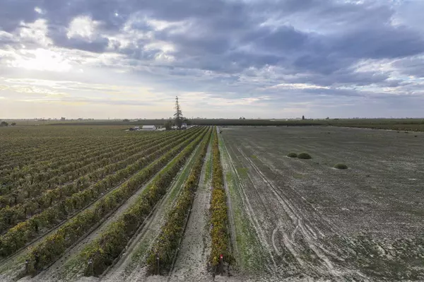 Caruthers, CA 93609,11836 S Hughes Avenue