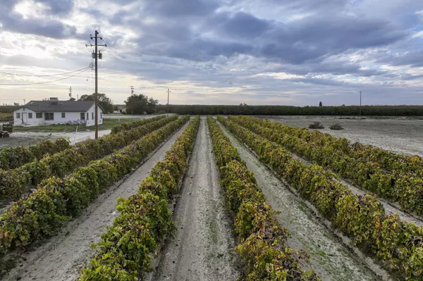 Caruthers, CA 93609,11836 S Hughes Avenue