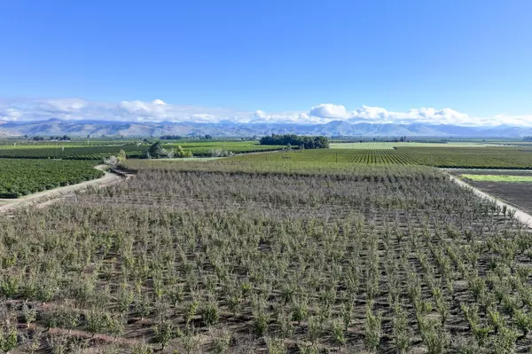 Reedley, CA 93654,0 S Crawford Avenue