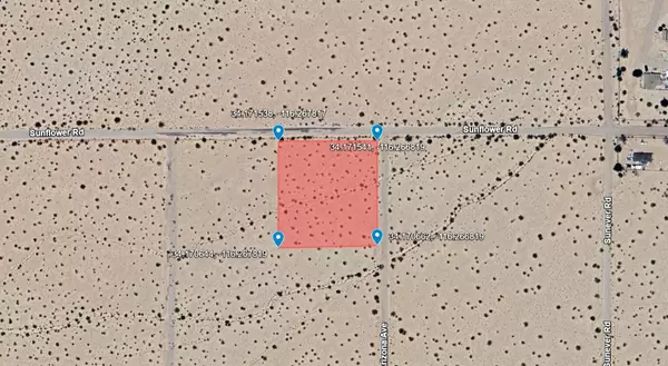 Joshua Tree, CA 92252,Arizona Avenue