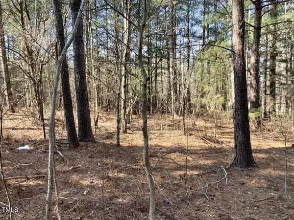 Roxboro, NC 27573,Lot 1 Allensville Road