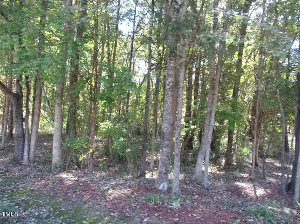 Lot 2 Pa Will Trail, Green Level, NC 27217