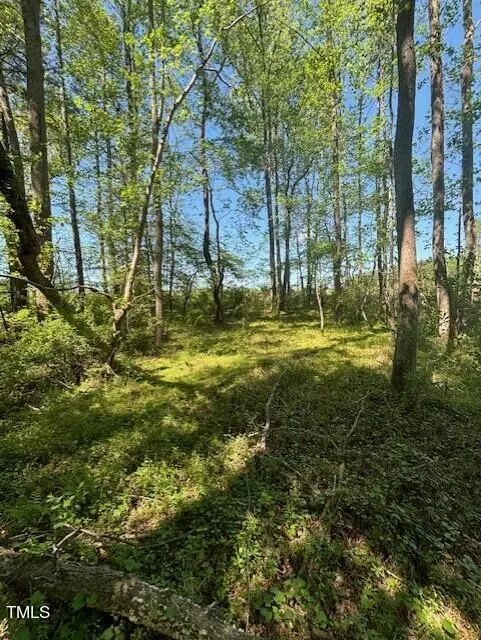 Pittsboro, NC 27312,0 Hamlets Chapel Road