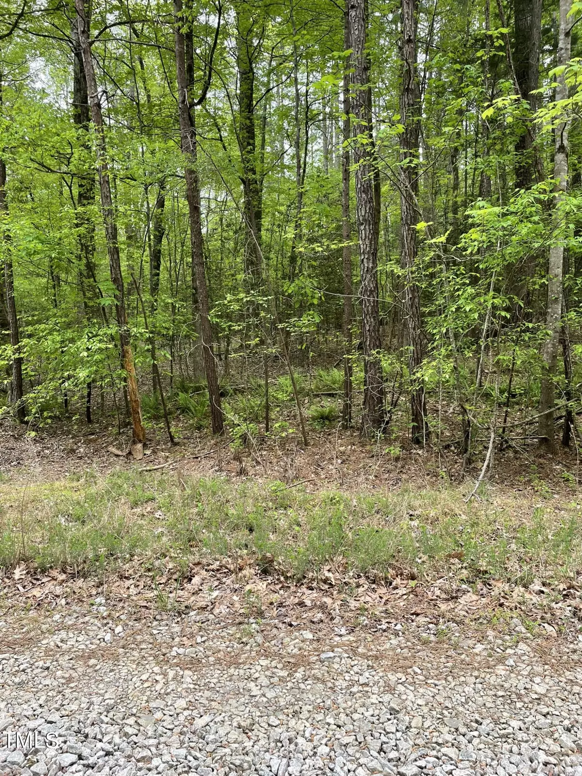 Henderson, NC 27537,Lot 77 Puddle Stone Lane