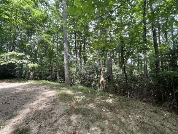 Tbd Bear Paw Road, Deep Gap, NC 28618