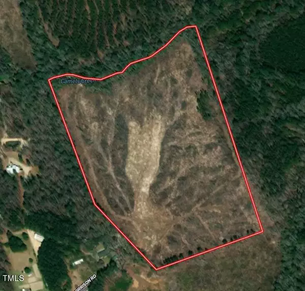 0 Cortez Morrison Road, Broadway, NC 27505