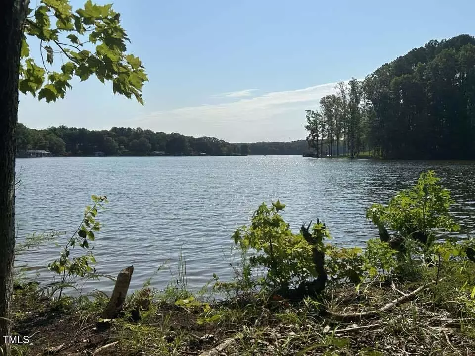 Leasburg, NC 27291,76 Ruddy Duck Lane