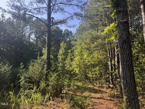 Kittrell, NC 27544,Lot 3 Sims Bridge Road