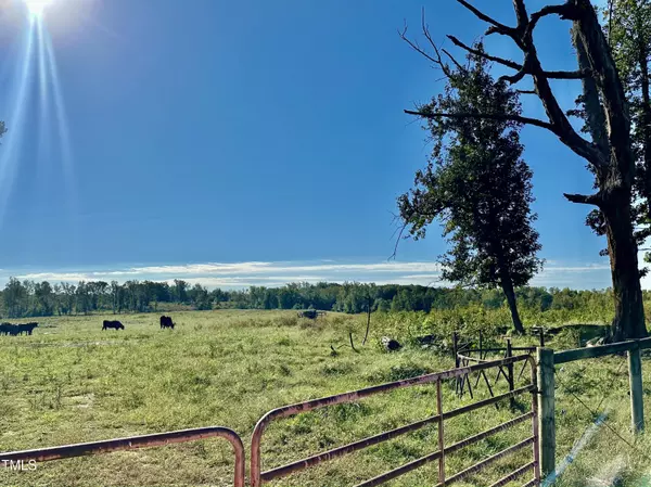 Hurdle Mills, NC 27541,3.97 Acres Jones Road