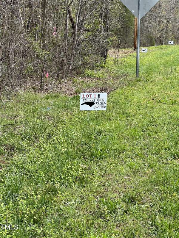 Lot 1 Elmer Moore Road, Siler City, NC 27344