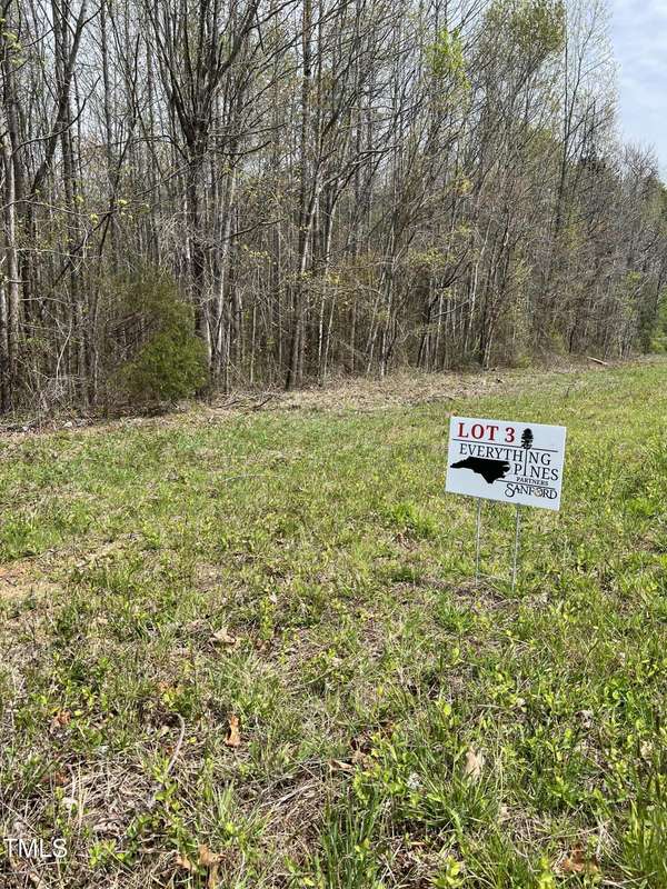 Lot 3 Elmer Moore Road, Siler City, NC 27344