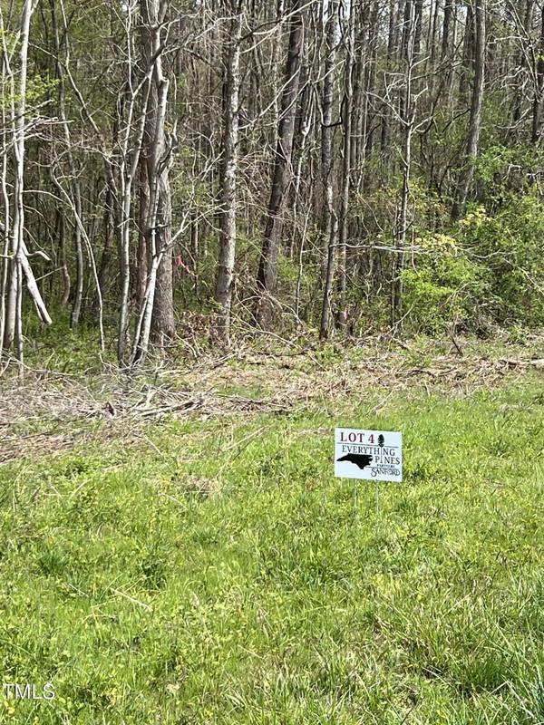 Lot 4 Elmer Moore Road, Siler City, NC 27344